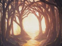 加密行业顶级白帽黑客 Samczsun 是如何诞生的？