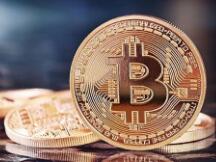 DeFi再掀巨浪 Pro去中心化金融来袭