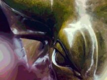 尽管美国正在积极推进加密税收计划，机构投资者仍在回归比特币