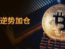 高歌猛进！大跌之下机构逆势出手加仓