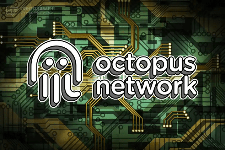 为「应用链」而生——新亮相的章鱼网络能否成长为新巨头？