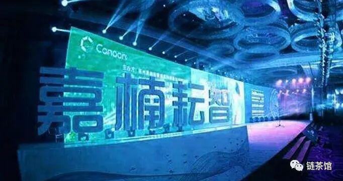 嘉楠科技2019年营收14.226亿元，净亏损10.345亿元人民币