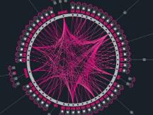 Kusama网络启动在即，波卡迈入新篇章