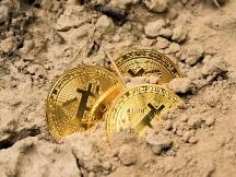 1100万美元“中本聪时代”比特币首次发生转移，沉睡的比特币巨鲸在苏醒