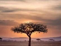 非洲加密货币监管是怎样一个发展趋势？