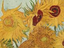 2021的加密爆发力