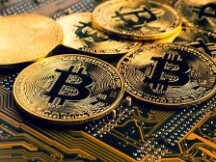 机构“赶牛”？分析师：85%的涨势由美国机构投资者带动