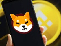 Shiba Inu 里程碑：币安将 SHIB 移出创新区
