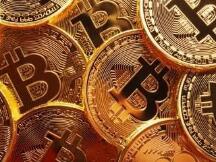 9.21早间行情：行情暂时回调 关注本周热点轮换情况