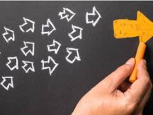 牛市不熄火？PayPal24小时内加密货币交易量达2.42亿美元，创历史新高