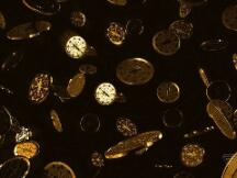 分析师：比特币的价格走势看起来像2017年2000％反弹的开始