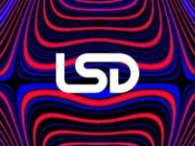 LSD的前世今生：演变路径、赛道全景和利率收益