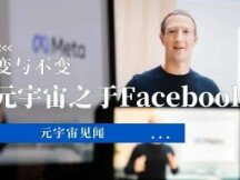 Much like the change - the truth of Facebook's meta-world