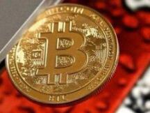 深夜突发！业绩喜忧参半，特斯拉致歉！马斯克再度力挺比特币