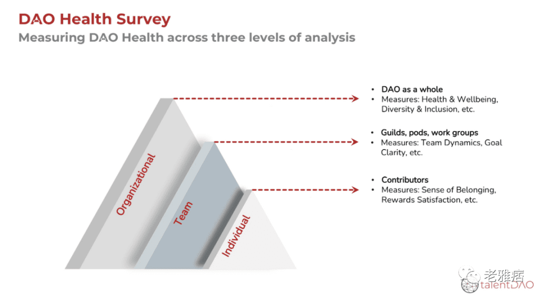 开发DAO健康调查：一个用于web3组织效率的开源工具