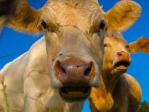 比特币趋势分析——牛市进行时，如何看待后续行情？