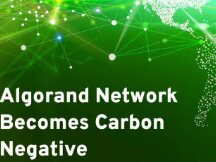 「数字财富」Top 100 加密资产首次环评，Algorand 荣膺榜首，靠谱吗？