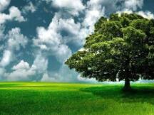 合约是牛市最大的绊脚石，本周开盘即上涨能否延续？