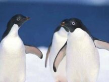 DeFi、GameFi、SocailFi等 皆起于挖矿