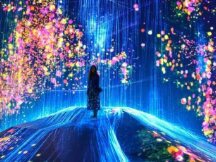 为何一张JPG图片能价值千万，新媒体艺术迎来爆发时刻？