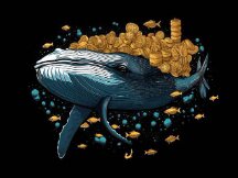 鲸鱼增持比特币，比特币价格短期内或将飙升？