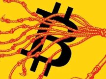 比特币大反弹，“华尔街之狼”也来炒币了