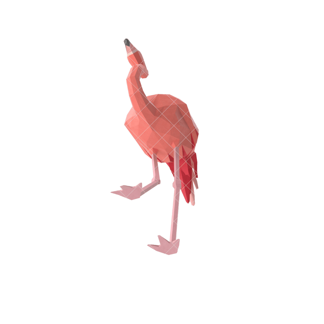 Flamingo:一个NFT的集合体