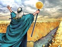 基于ERC-20代币总市值已超以太坊总市值，市值差创历史新高