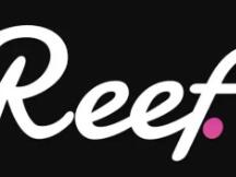 Reef Finance：波卡生态的DeFi聚合平台