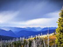 60亿期权交割反响平平，市场石头落地了么？