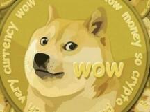 Dogecoin在TikTok爆火 价格暴涨20%