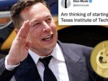 马斯克：我考虑创办一所新大学 以狗狗币支付学费、养狗有折扣