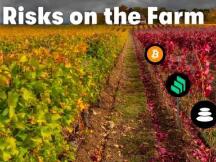 为什么流动性挖矿会兴起？它能给DeFi生态带来什么？