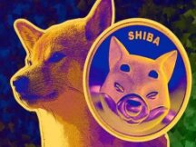 SHIB 已成为加密货币的世界热门话题，这里有 4 个投资柴犬的理由