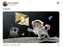 比特币5万美元下方盘整 投资者谨慎，马斯克因为狗狗币言论被证监会调查