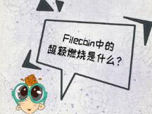 【图说100问·Filecoin】第52问：Filecoin中的超额燃烧是什么？