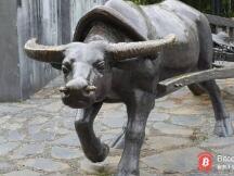 比特币可能出现大规模轧空？