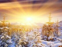 几大交易所被Shib集体搞崩，大波动币种需要注意风险