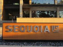 古典VC集体改“道”：连红杉都要All in Crypto 了