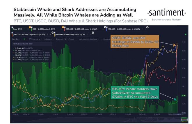 尽管宏观逆风，比特币（BTC）鲸鱼仍大量购买 BTC