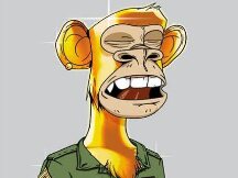 OpenSea 销量暴增至1亿美元，收藏家纷纷涌入无聊猿猴俱乐部NFT