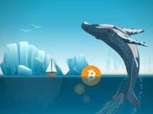 灰度将探索AAVE、SNX、SUSHI、DOT等23种新投资产品，DeFi领域成为关注热点