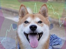 Whales trading for 99.9 billion SHIB! Travala accepts the Shiba Inu currency as a method of payment and Bybit opens the exchange.