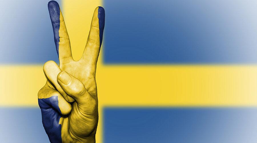瑞典计划推出国家加密货币，打造全球首个无现金经济体 (1)