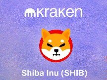 Kraken交易所上架柴犬币！SHIB单日涨超过27%