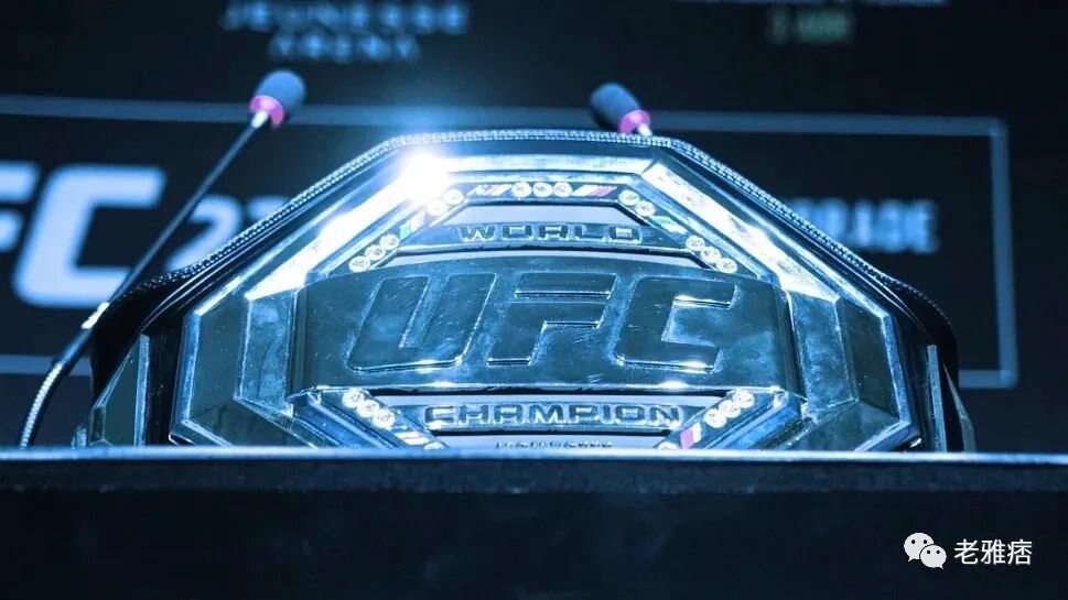 乐高集团与Epic游戏公司合作，UFC 向顶级拳手支付比特币奖励