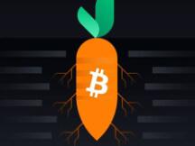 什么是BTC Taproot升级？