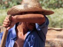 YFV勒索事件始末分析