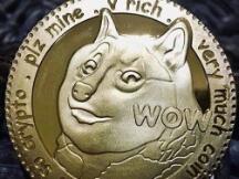 匿名狗狗币持有人向弗罗里达州流浪狗收容所捐献利润