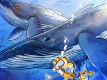 随着比特币价格接近2.1万美元，比特币鲸鱼们仍在“冬眠”